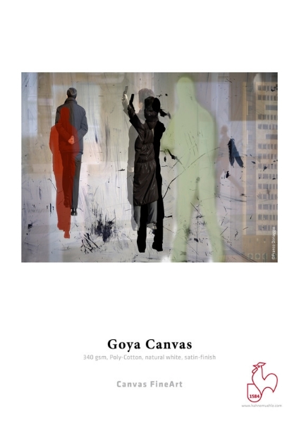Hahnemühle Goya Canvas 340gsm 24"x39' Roll (3" Core)