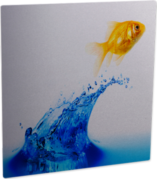 ChromaLuxe HD Gloss Clear Aluminum Panel 11.75"x11.75" - 10 per Case