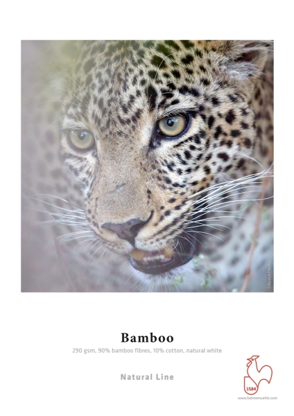 Hahnemühle Bamboo 290gsm 35"x46.75" - 25 sheets