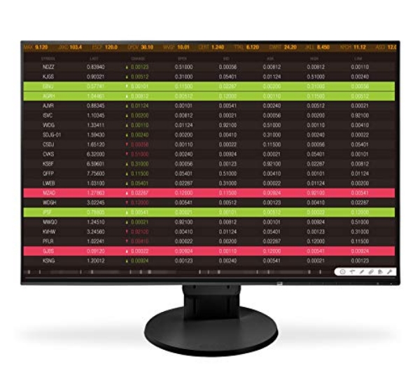 Eizo FlexScan EV2456 24.1" Slim IPS Black Monitor with FlexStand