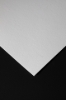Canson Infinity Edition Etching Rag II 310gsm Matte 17"x39' Roll 3" Core