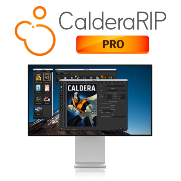 Caldera RIP Pro - complete version (1-Year) - 1x driver Pro