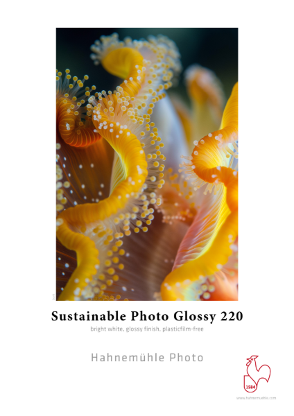 Hahnemühle Sustainable Photo Glossy 220gsm 60"x100' Roll