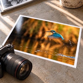 Picture for category Photo Paper